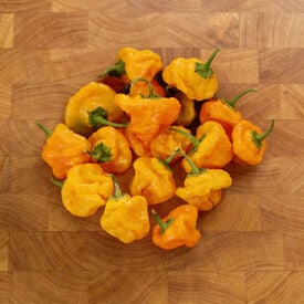 Yellow Scotch Bonnet, Pepper Seeds